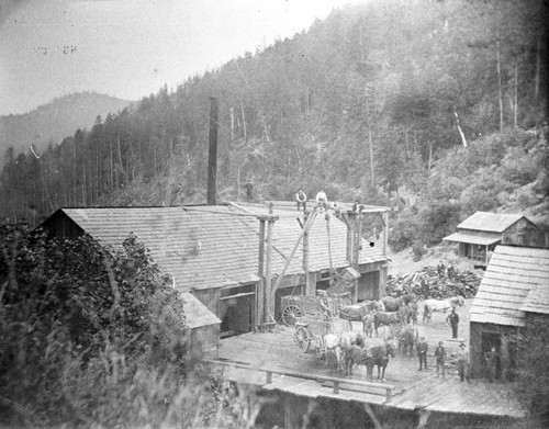 Black Bear Mine