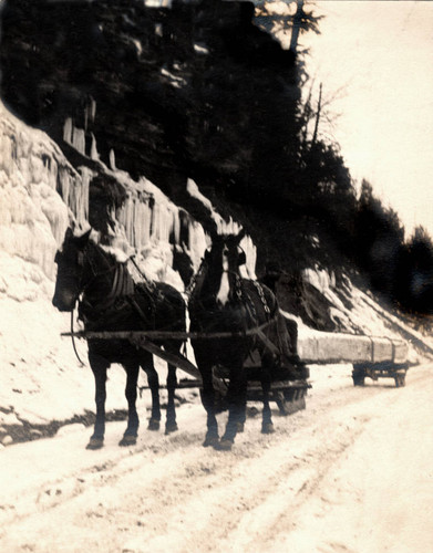 Logs on sled--Wheeler and Dusenbury