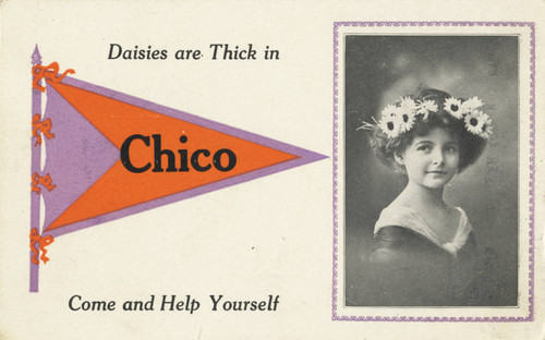 Chico Postcard