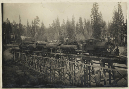 Diamond Match logging train