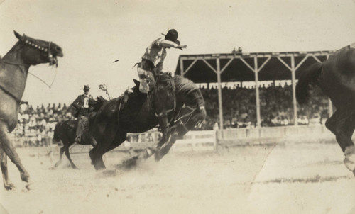 Man on bucking horse at Pendleton Round-Up