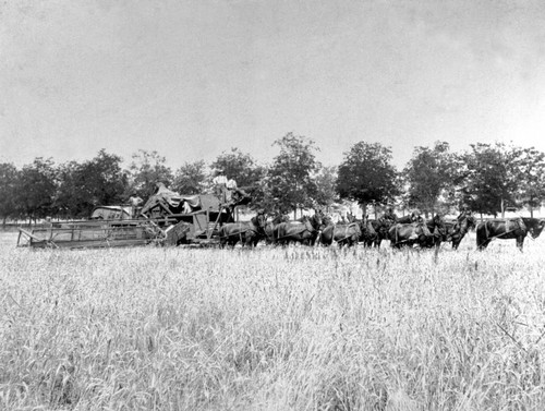 Harvesting