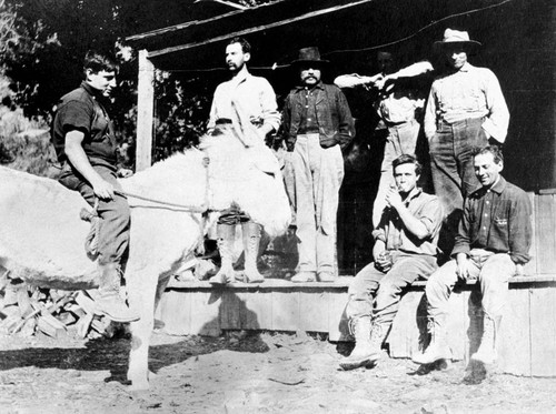 Western Pacific work crew posing for camera with donkey