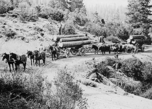 Logging wagons