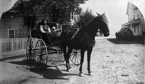 Hosselkus Freight Wagon