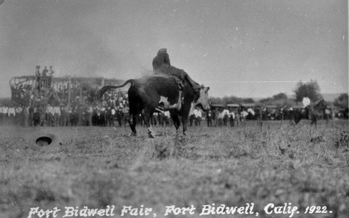 Fort Bidwell Fair Rodeo