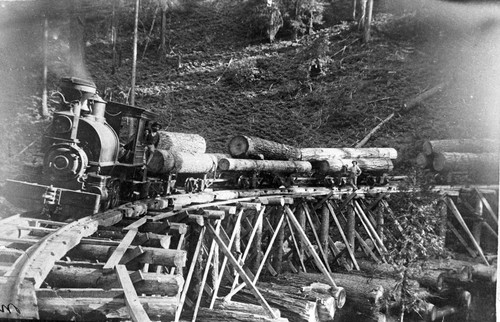 Logging Train Crossing Big Antelope