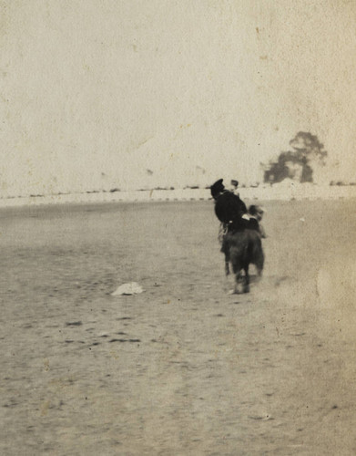 Bakersfield Rodeo