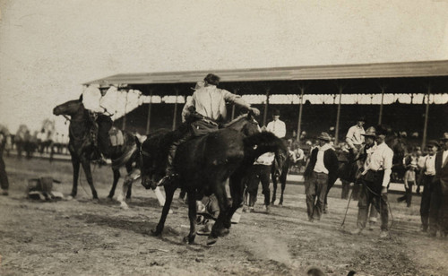 Bakersfield Rodeo