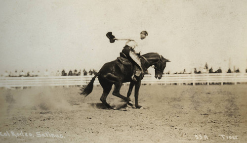 John Dobbins, Cal Rodeo