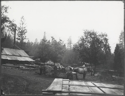 Lumber Mill