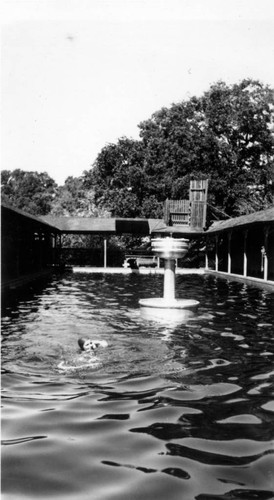 Richardson Springs Pool