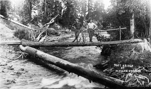 Foot Bridge at Morgan Springs