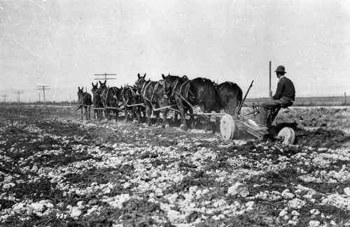 Plowing Fields