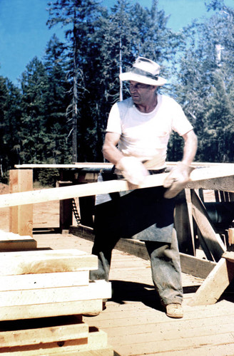 Lonnie Mayfield pulling sugar pine board from green chain--Soper-Wheeler Company