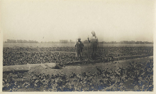 East Indian Laborers