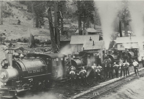 Logging Trains