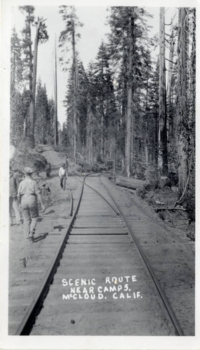 Scenic Route on Railroad Tracks