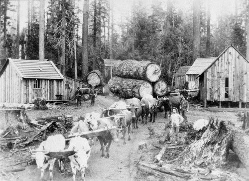 Crane's Mill