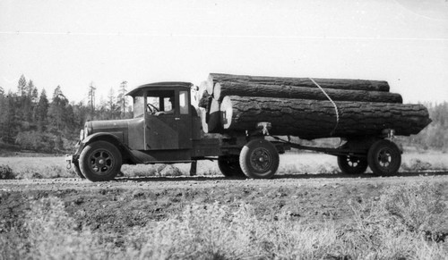 Load of logs