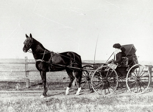 Addie Hughes in a Carriage