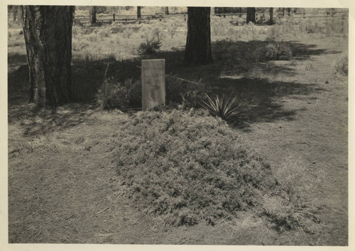 Grave of William Henry Ashurst