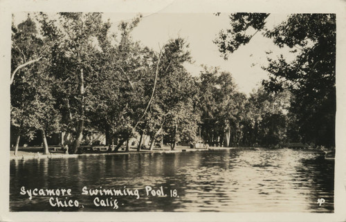 Sycamore Swimming Pool