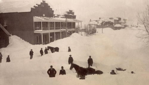 William Watson Holding Horse in Deep Snow