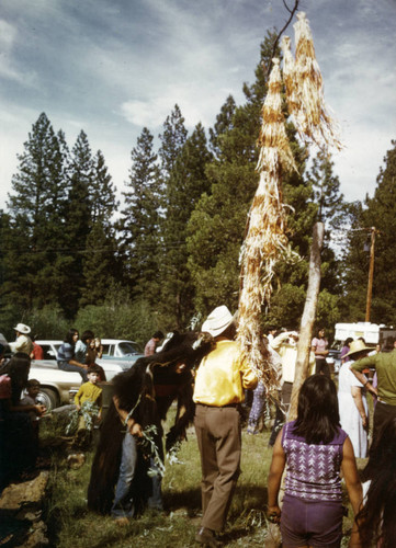 Bear Dance at Jonesville