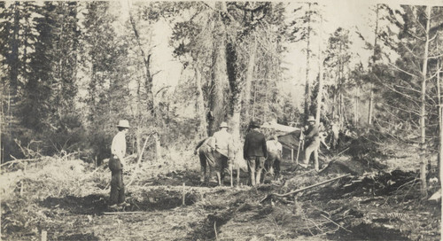 Logging Crew