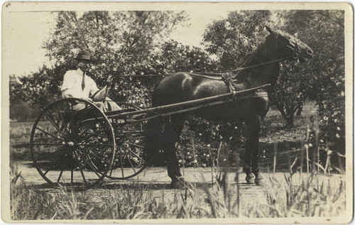 Dick Fales and his horse cart