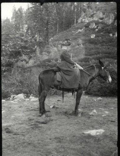 Morehead on a mule