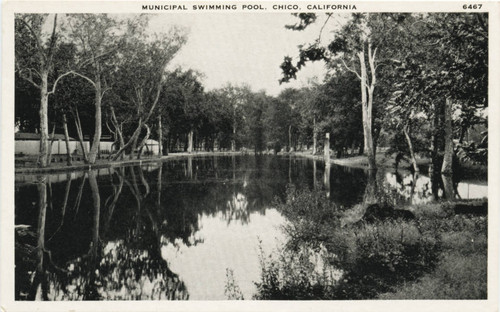 Chico Municipal Swimming pool