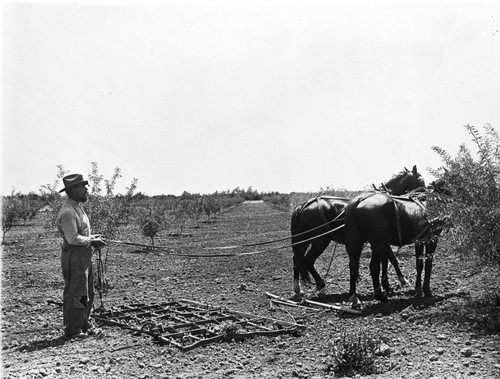 Farming & Horses