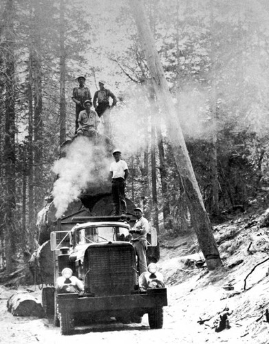 Logging truck