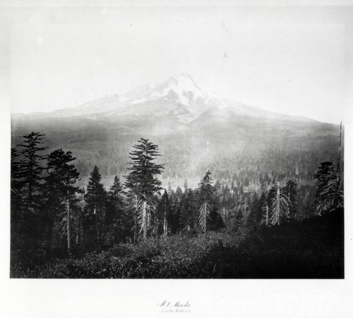 Mount Shasta