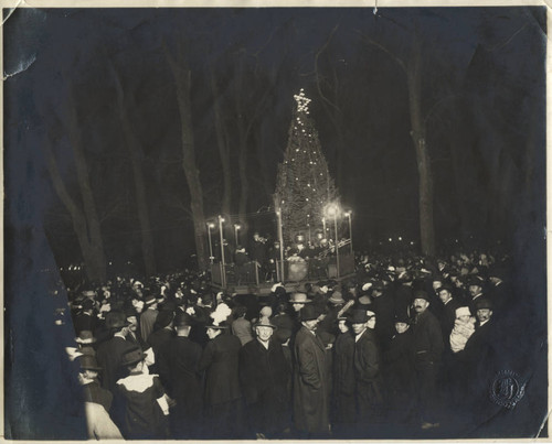 Chico City Plaza at Christmas