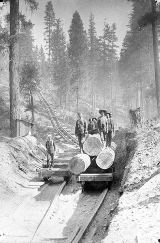 Logging Railroad