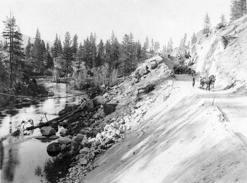 Roadway through Feather River Camp #3