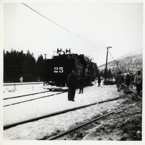 Train Locomotive Number 25