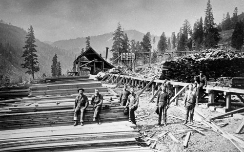 Workmen in Lumber Yard