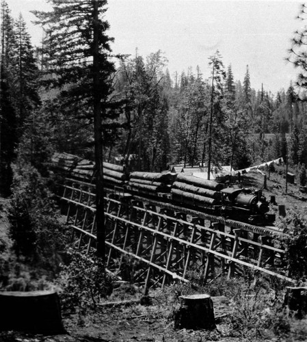 Diamond Match Company : logging train