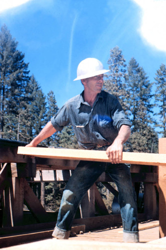 Pulling sugar pine board from green chain--Soper-Wheeler Company