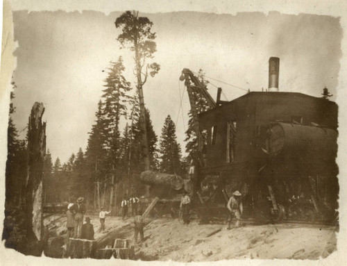 Crane Loading Logs onto Train