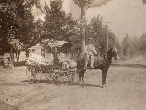 Horse and Cart with Supplies