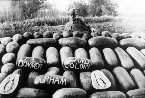 Fred Donner Watermelons