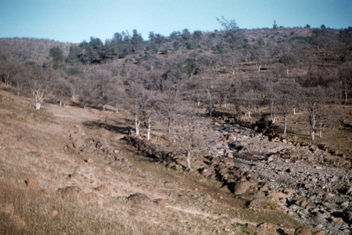 Old Stage Coach Road