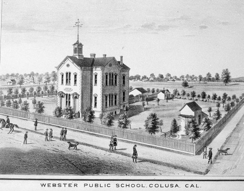 Webster Public School