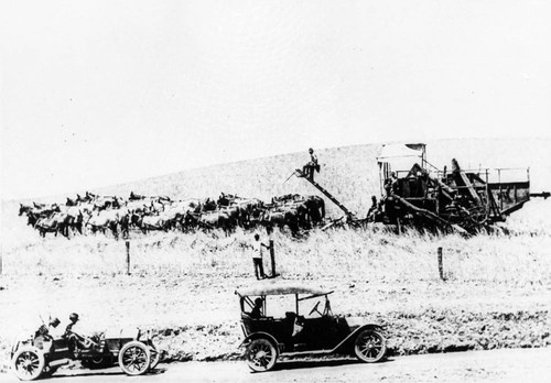 Houghton Ranch near Corning, 1905