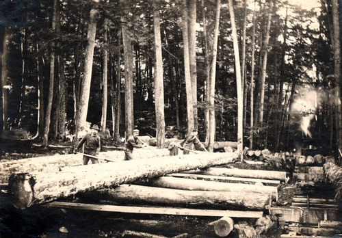 Four men rolling logs--Wheeler and Dusenbury